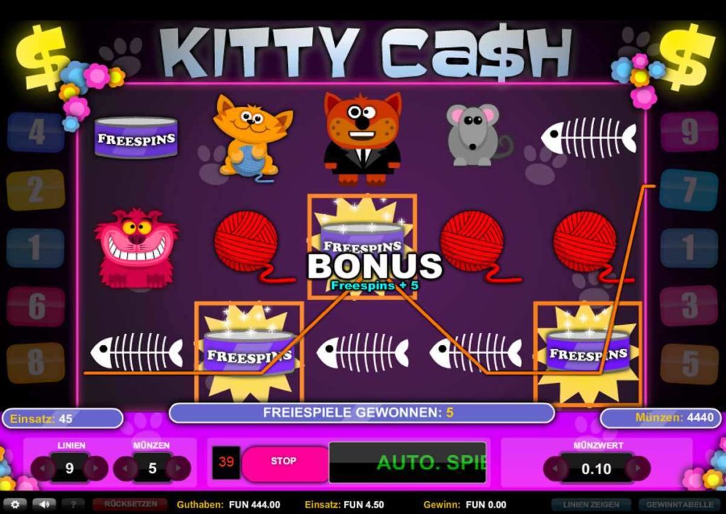 Kitty Cash
